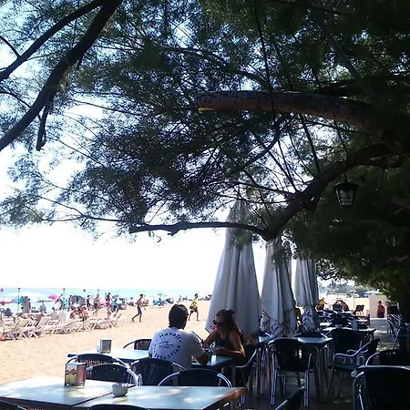 Apartment Albadomus *