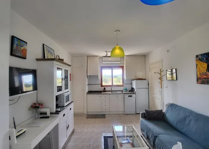 Albadomus * Денія