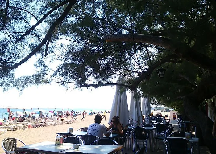 Апартаменти Albadomus *